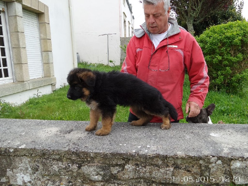 Lola Delle Due Stelle